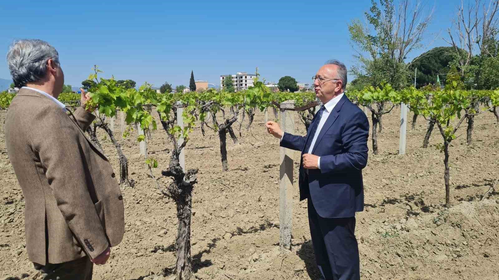 Manisa Büyükşehir’den don desteği: Çiftçiler 30 Nisan’a kadar başvurabilecek