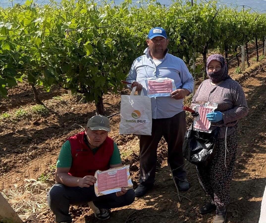 Bağlarda Yeni Dönem: "Japon Tuzağı"