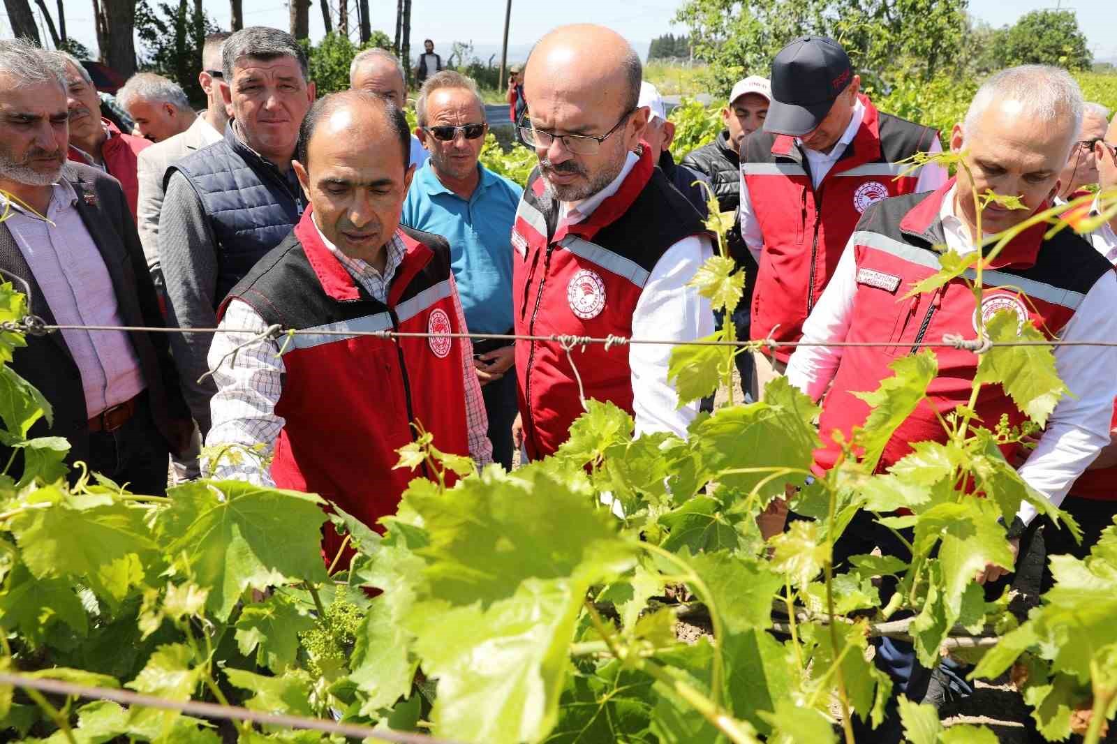 Don Afeti Sonrası Bakanlık Harekete Geçti