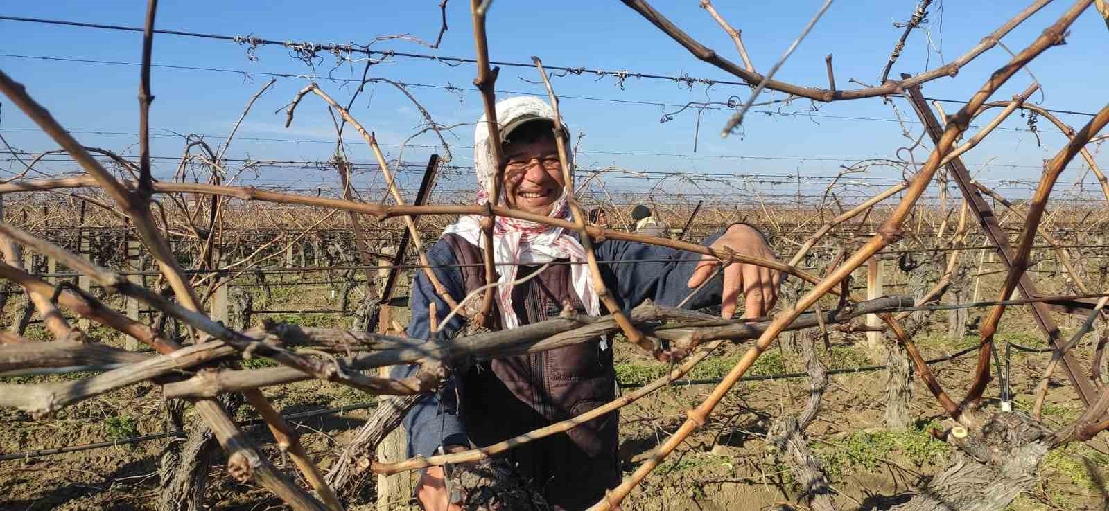 Sarıgöl'de Yeni Sezon Bağ Budama Yevmiyeleri Belli Oldu!