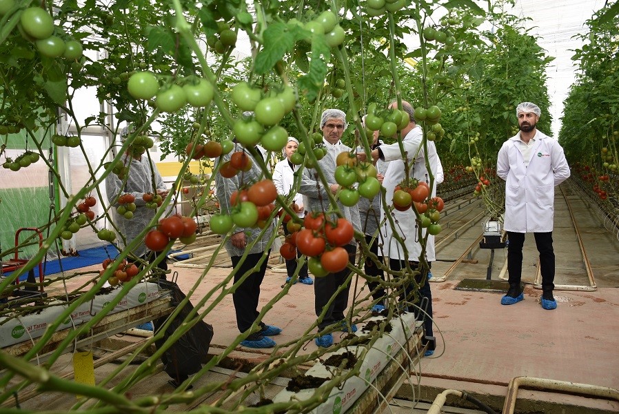 Salihli Ekonomisine Sera Desteği