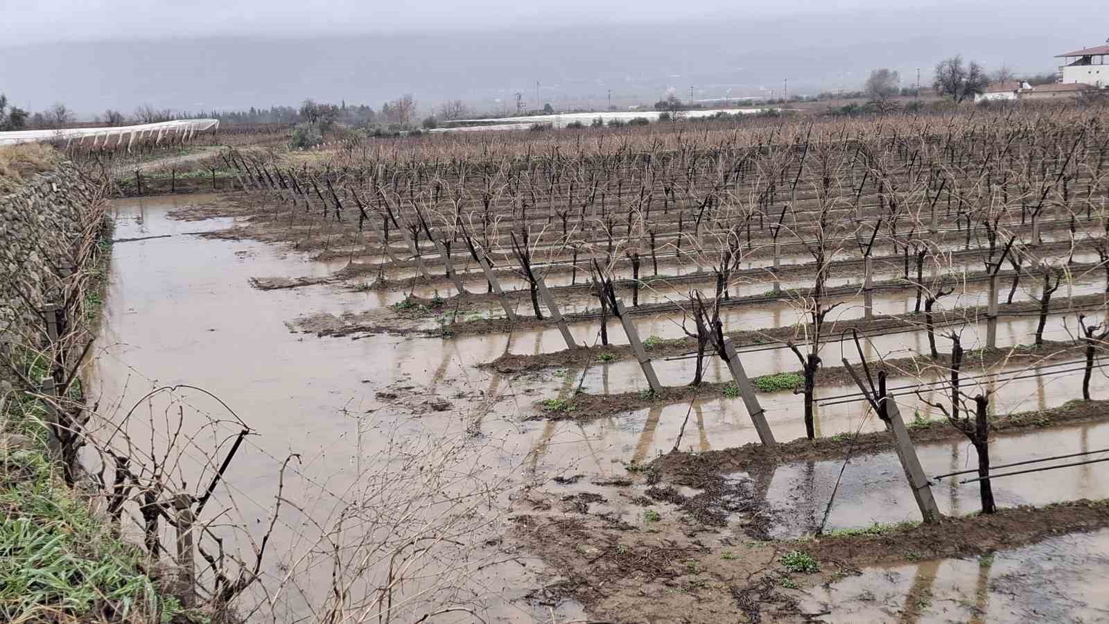 Sarıgöl’e Bereket Yağmuru: Barajlar Doldu, Çiftçinin Yüzü Güldü