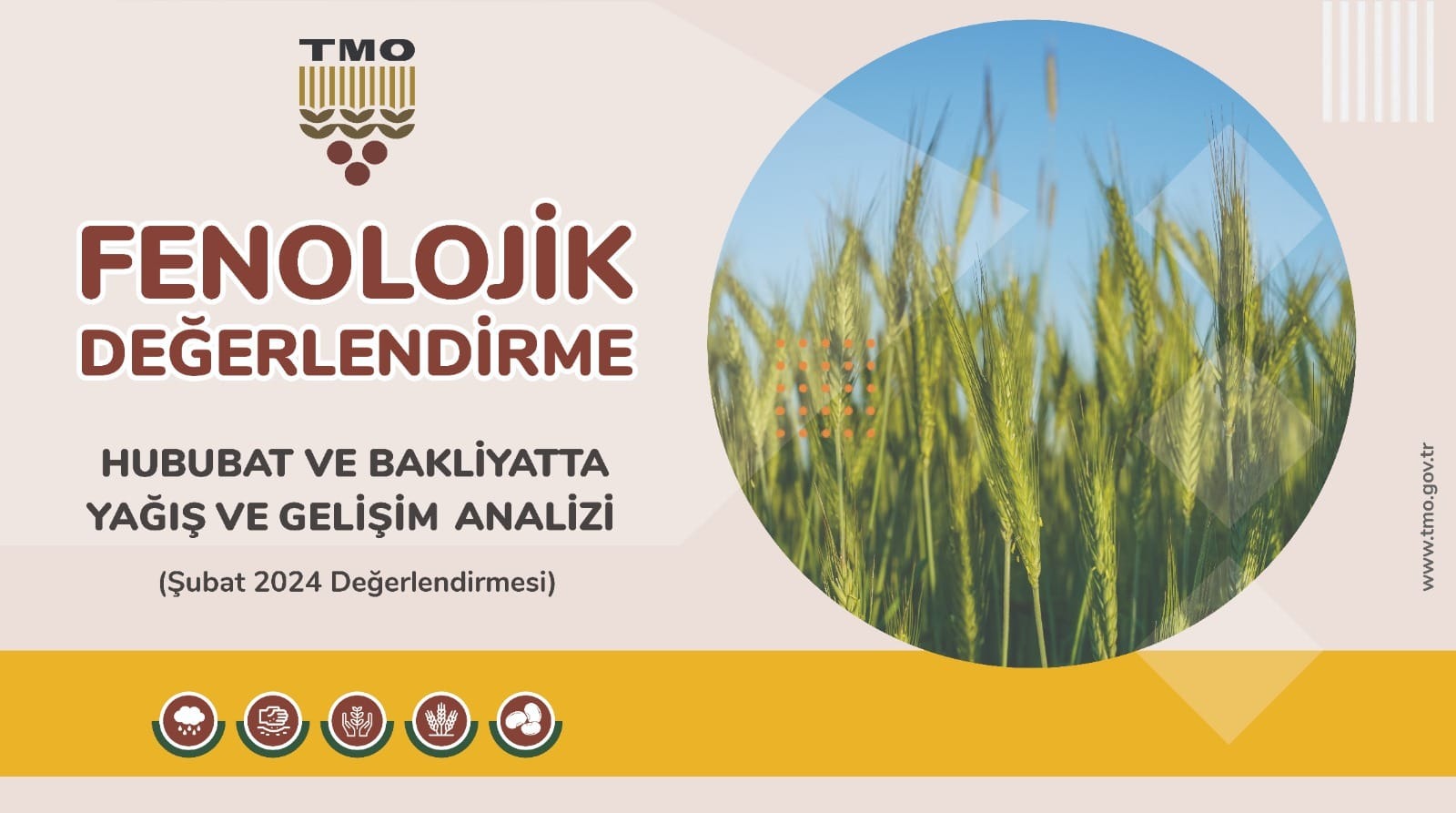 Fenolojik değerlendirme raporu yayımlandı!