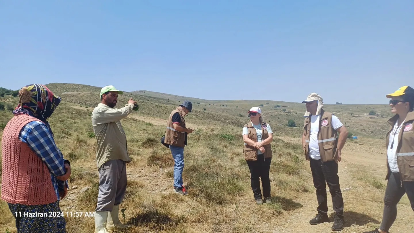 Salihli'de Çekirge Sürvey Çalışması Yapıldı