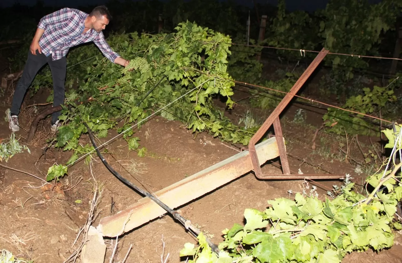 Dolu Yağışının Ardından Üzüm Bağlarında Hasar Tespiti Başladı