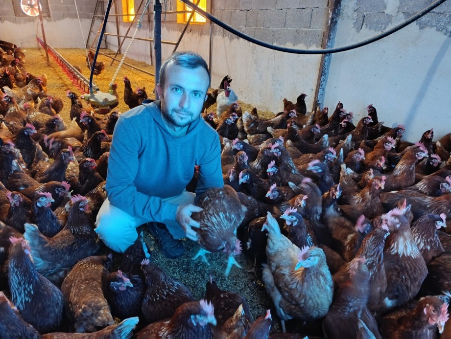 Manisalı Üreticiden Doğal Lezzet: Günde 325 Yumurta