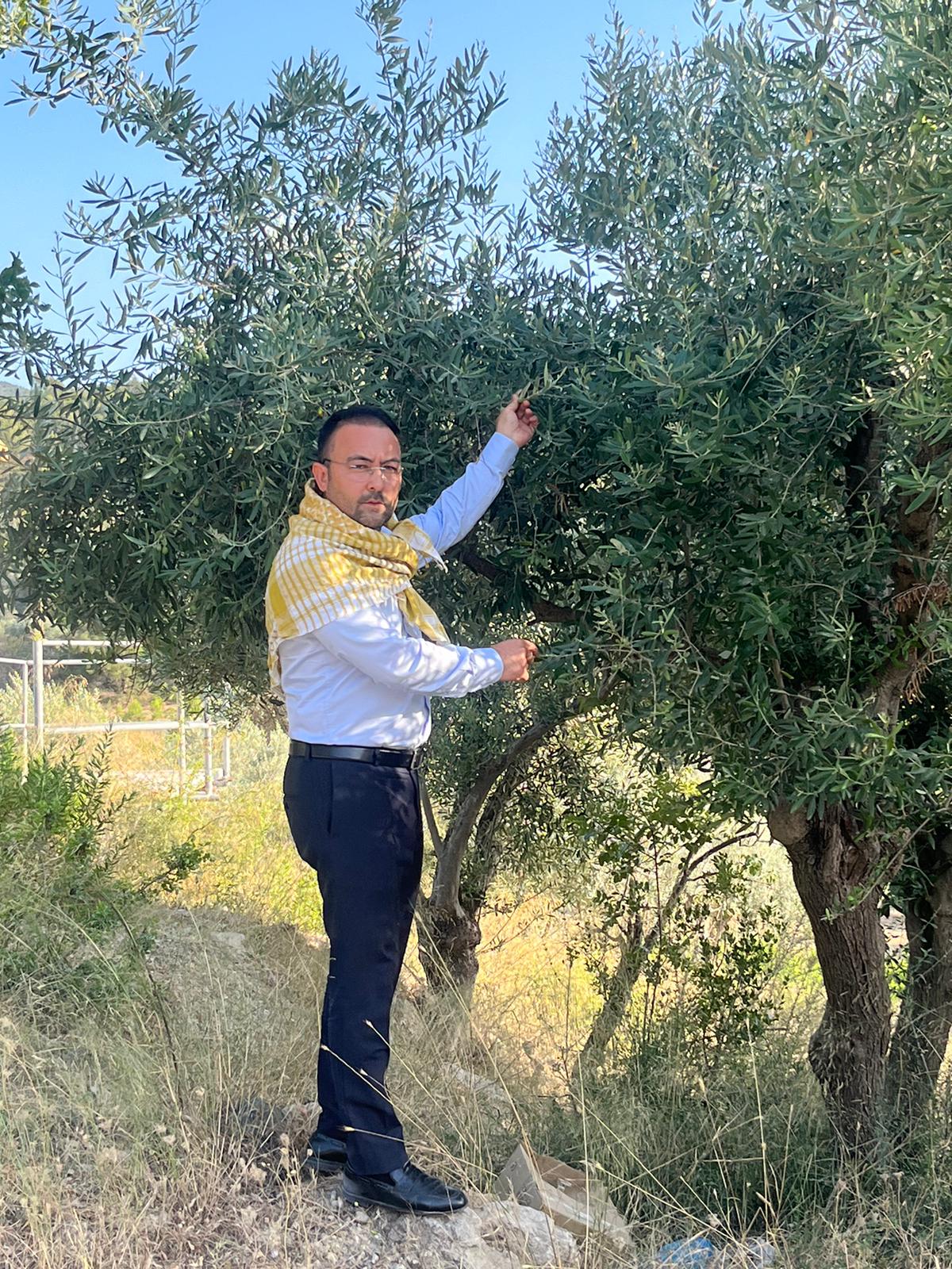 İYİ Parti’den “Zeytin Yasası”na Tepki: “Biz bu yasaya sessiz kalmayacağız"