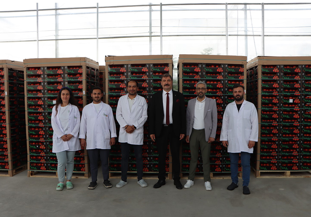 Kula’dan Avrupa’ya 500 ton domates!