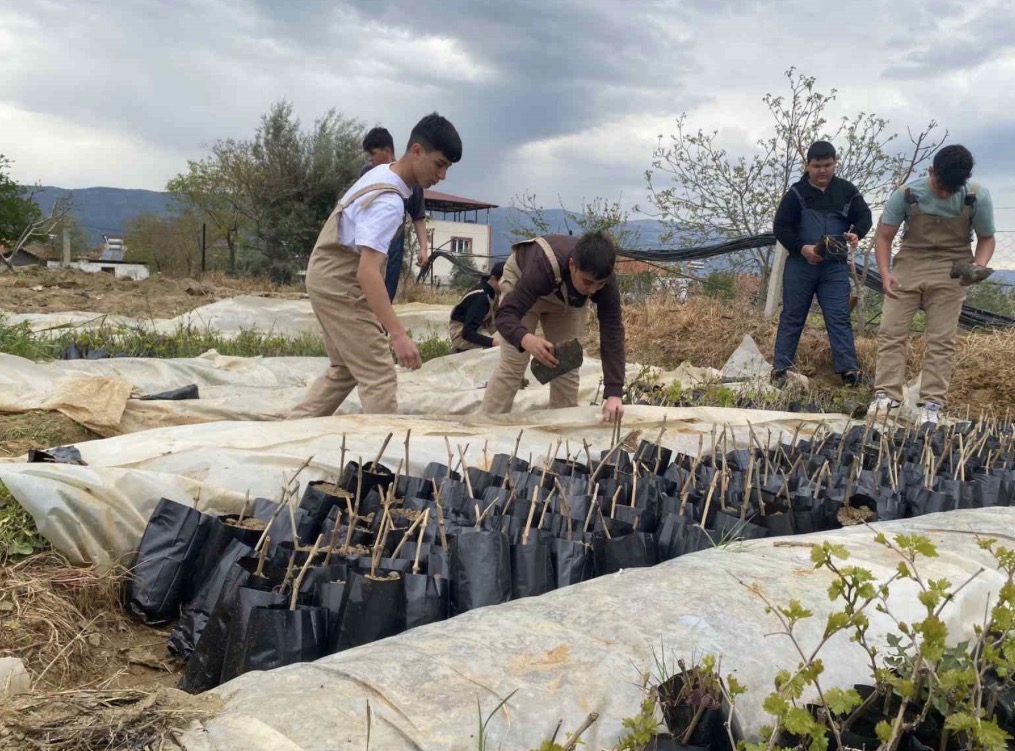 Liselilerden bölge tarımına büyük katkı