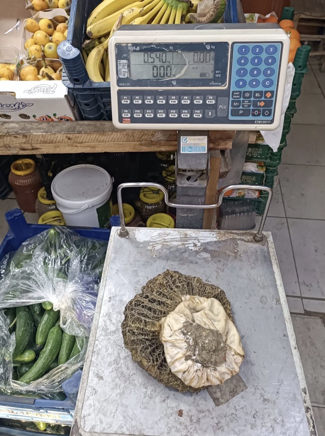 Manisa’da doğa bu kez cömertliğin dozunu kaçırdı