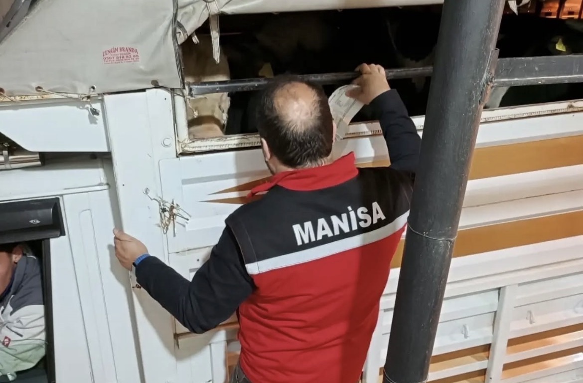 Salihli’de kurbanlık nakli yapan araçlara sıkı denetim