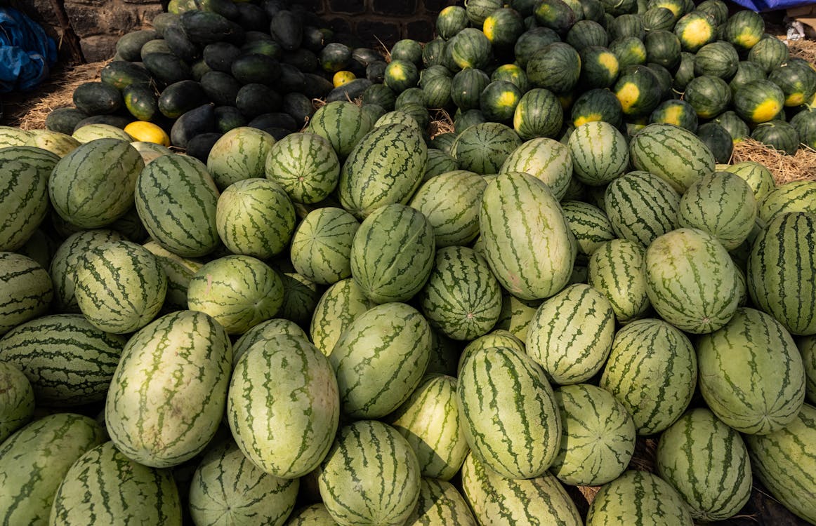 Üretici 600 Ton Kavun ve Karpuzu Ücretsiz Dağıttı, Duyan Tarlaya Akın Etti!