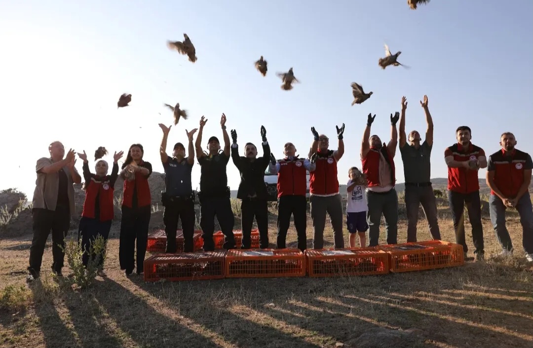 Manisa’da Tarım İçin Doğaya 400 Keklik Salındı
