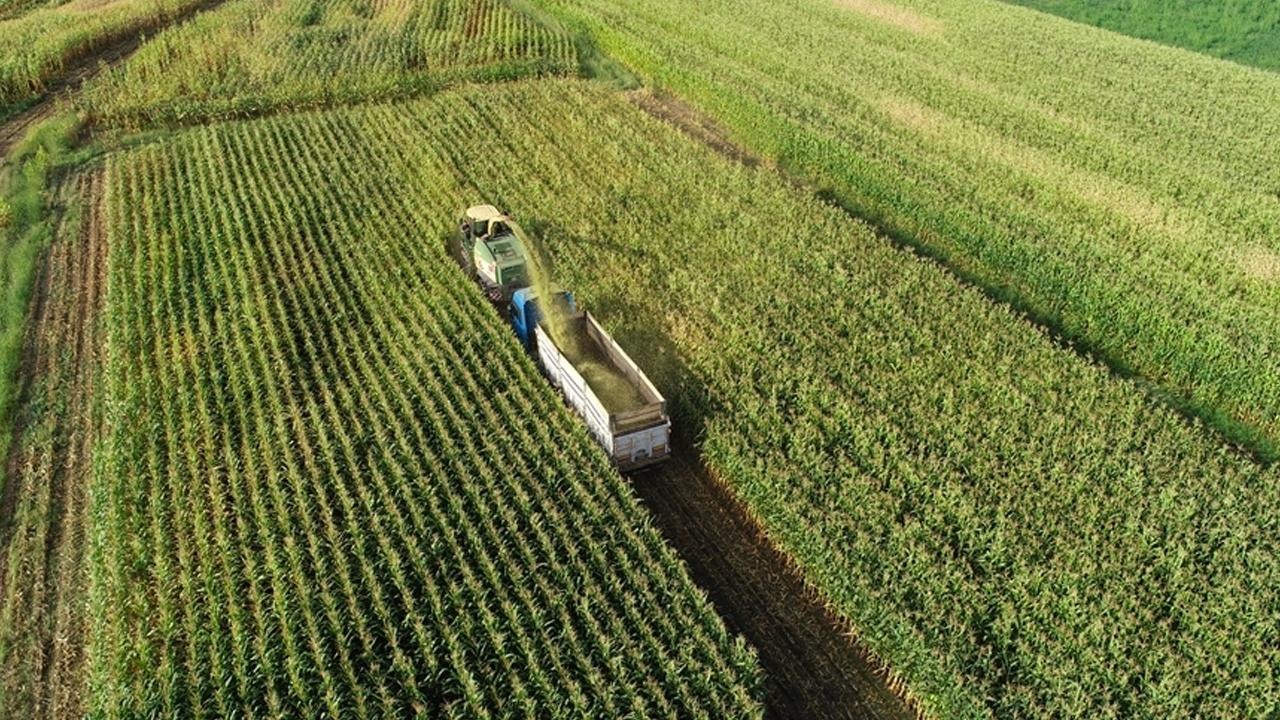 Kırsal Kalkınma Destekleri başvuru süresi uzatıldı