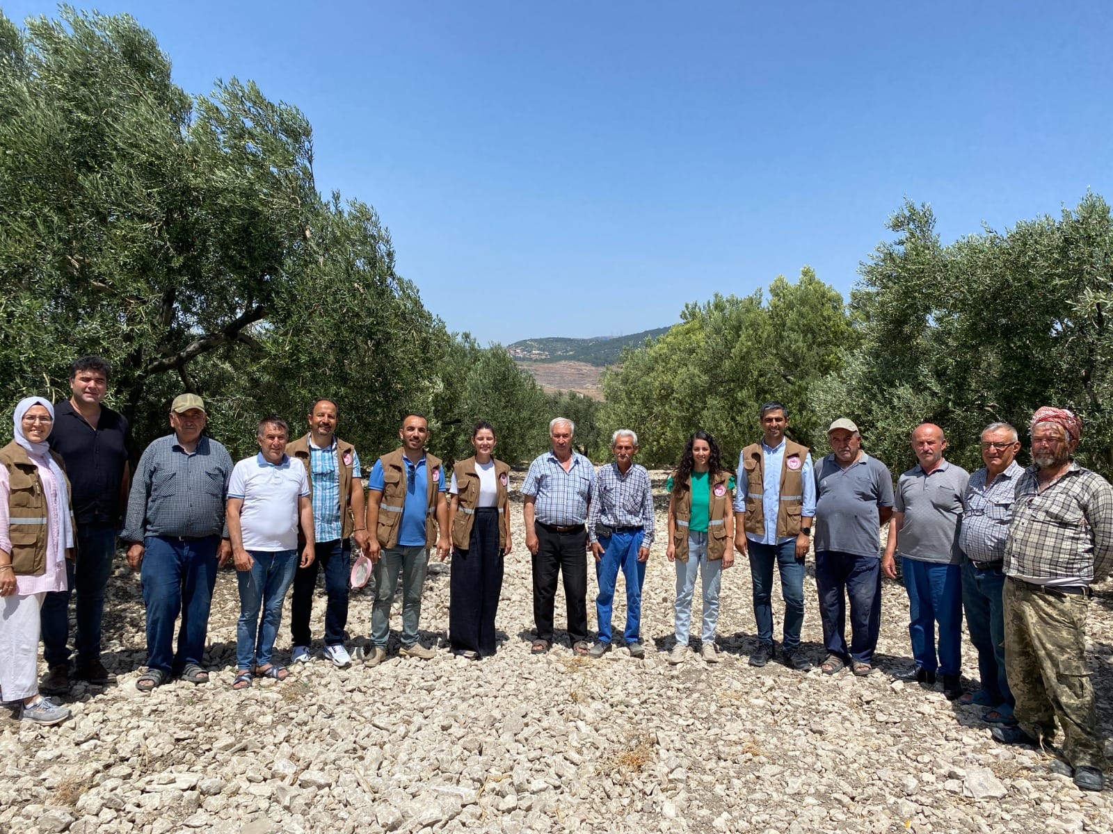 Zeytin Sineğine Karşı Biyoteknik Mücadele Devam Ediyor