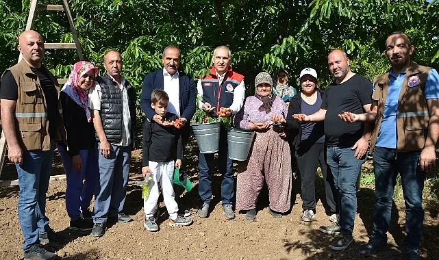 Kuzey Yarımkürenin En Erken Kirazını Yetiştiren Coğrafya: Manisa'nın Şehzadeler İlçesi