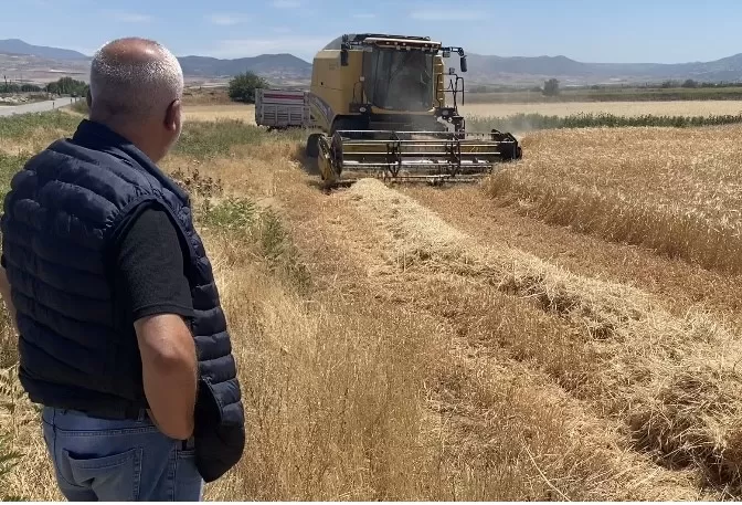 Manisa'nın  Alaşehir  İlçesinde Arpa Hasadı Başladı