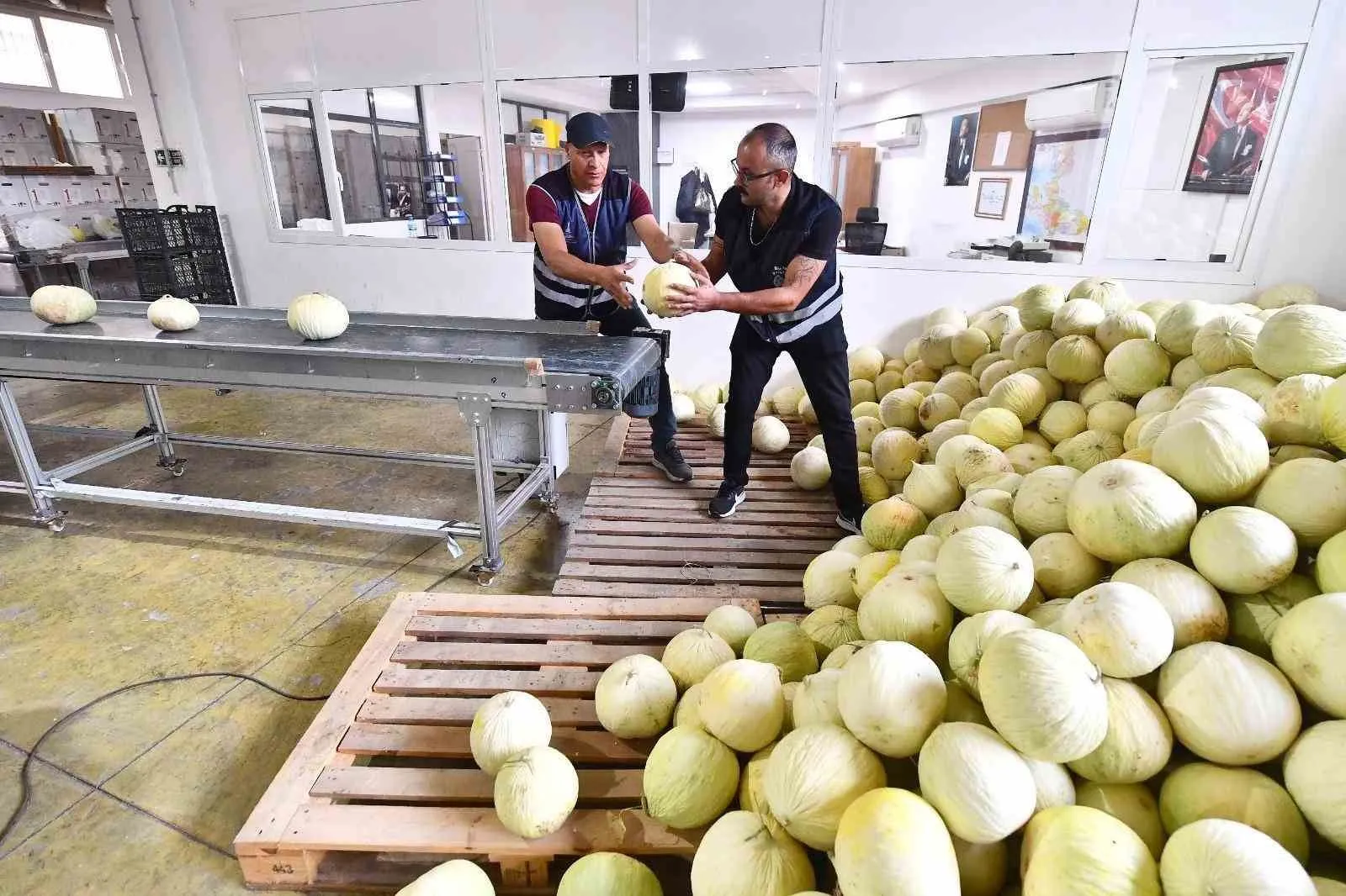 Tarlada kalan 300 Ton Kavun Vatandaşa Dağıtıldı