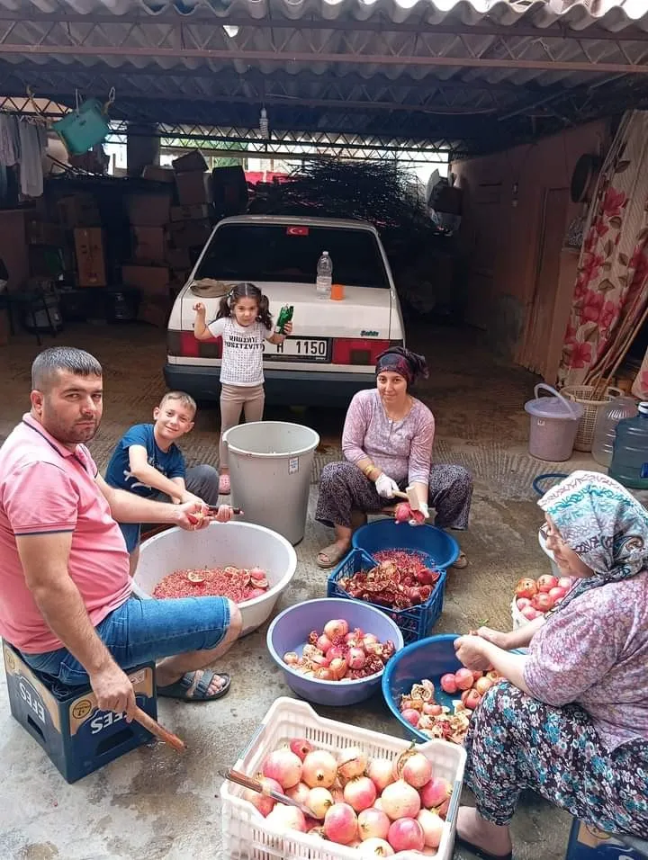 Sarıgöl’de Evlerde Nar Ekşisi Yapımına Başlandı